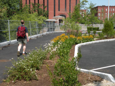 person walking along Greenway path