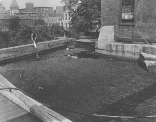 scum floating at the surface of the intake pond to Ames Worsted Company’s turbine building